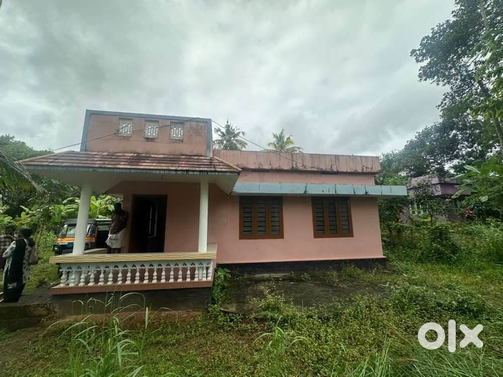 10cent plot with 2bhk old house in alumkunnu