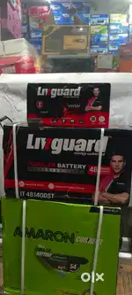 1100 va livgurd sine wave inverter 140ah livgurd battery
