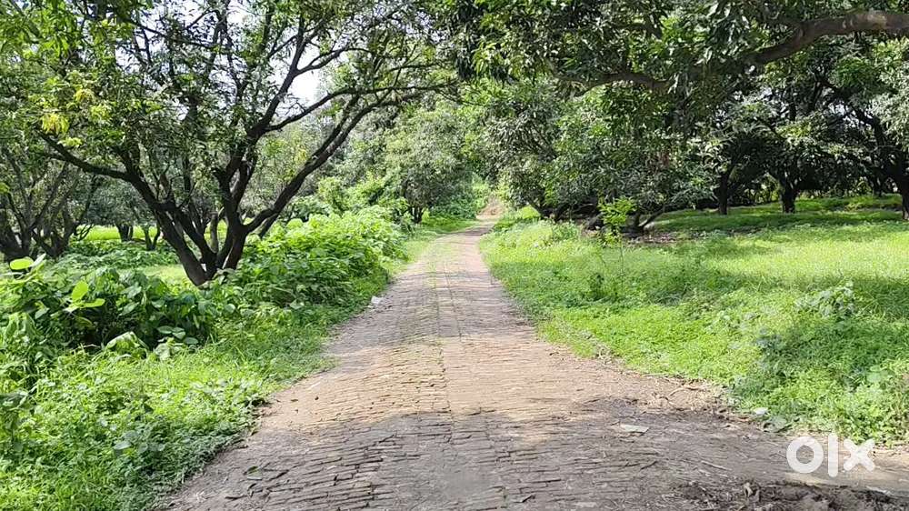 अपने सैनिक भाइयों के लिए विशेष ऑफर के साथ जमीन खरीदे