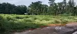 Muvatupuzha mekadamp 10cent housplot 2 lak only no flood