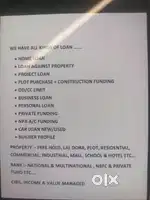 Loan from government banks