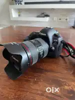 Canon EOS 5D Mark IV with 24-105mm lens and 50mm lens