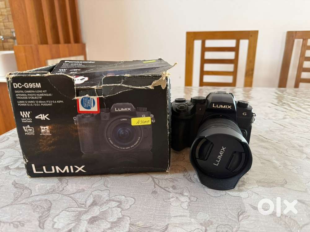 Lumix G95 Mirrorless Camera For Sale