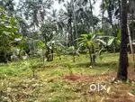 32 cent land for sale