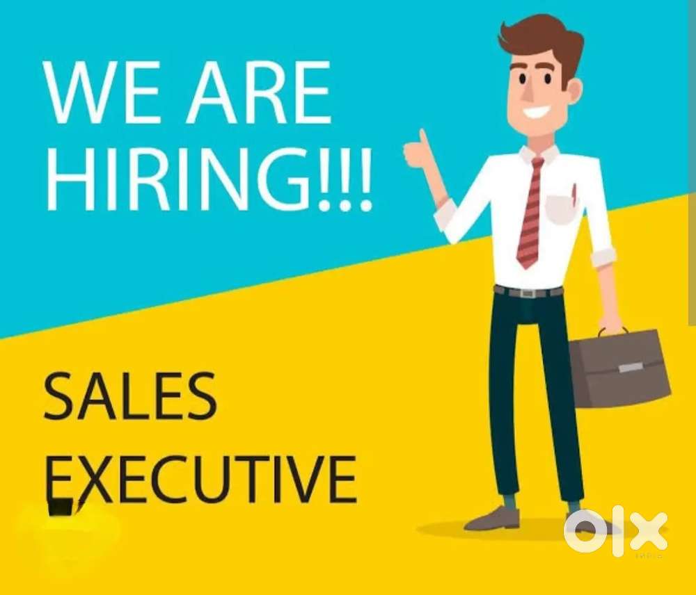 Marketing sales executive