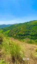 Vagamon 720 cent Cardamom, pepper, Tea Growing LA pattayam land sale