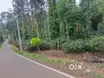 Salem yercaud