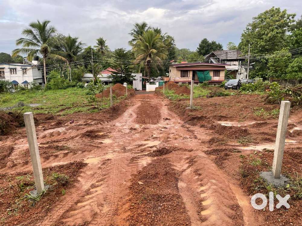 Plots of various sizes  for sale at Kumaranalloor Kottayam