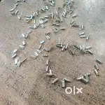 Jewellery manicuring work wanted helper girls
