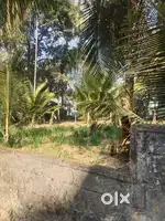 Thrissur unity nagar 8 cent plot for sale per cent 12 lakh