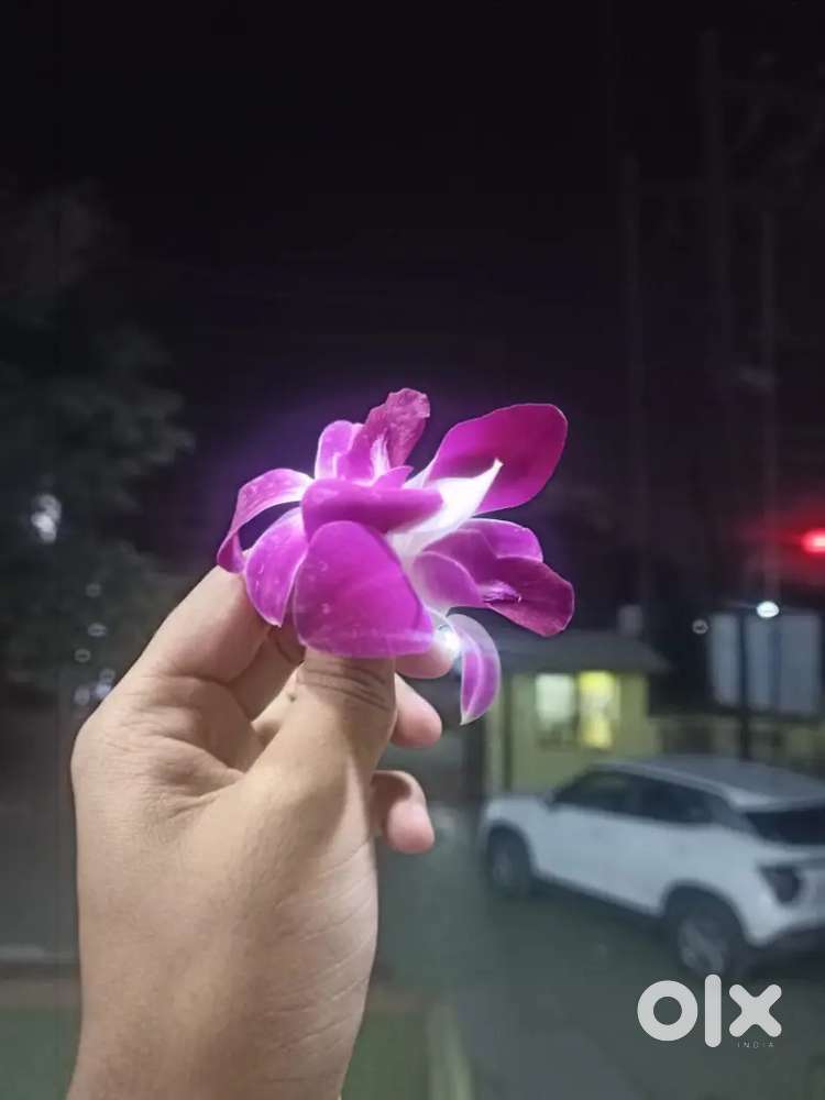 Room mate chahiye  only for girls