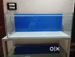 4 feet fish tank 10mm glass