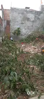 Plot For sale