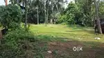 40 cent house plot for sale Kakkayur, Koduvayur, Palakkad