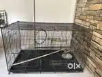 Bird cage big