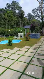 Water Proofing ,Gardening, Stone Work, and Painting Works
