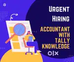 Urgent Need Accountant With Good Tally Knowledge