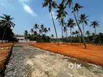 പൂച്ചിന്നിപ്പാടം HOUSE PLOT 8 cENT