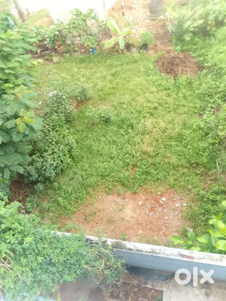 Rameswaram pathuru.ramalayam veedhi.