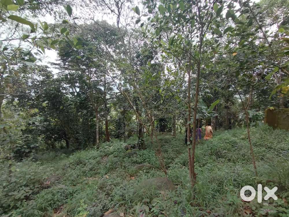 A 36-cent prime property is available for sale in the heart of Ktpna