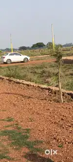 ସୁନ୍ଦରପଦା ପ୍ଲଟ ସେଲ ଘରବାରି ପ୍ଲଟ ସେଲ Xavier University
