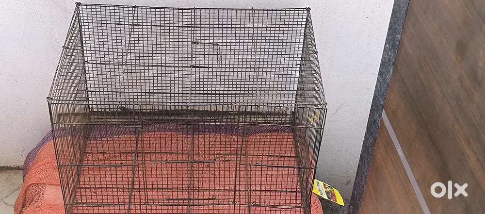Birds pinjira for 2 pair 1000 rs