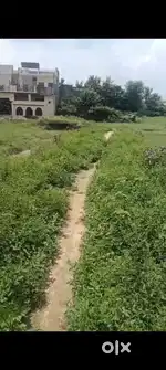 plot for house