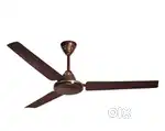 CELING FAN