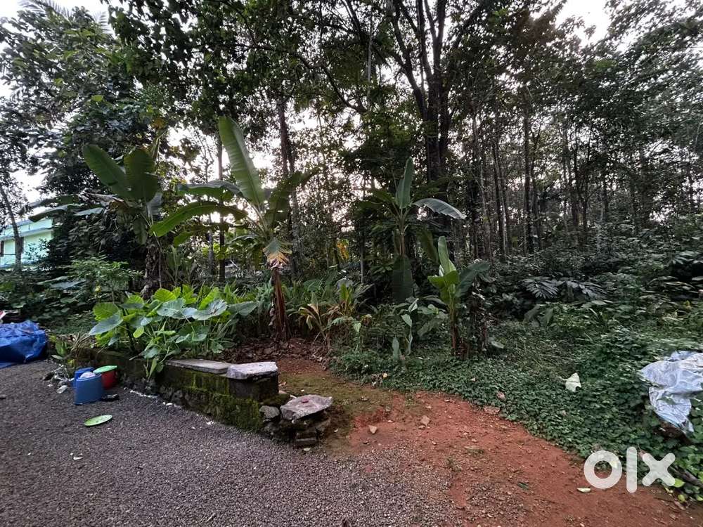 35 cent land and house for sale in Varappetty, Kothamangalam Taluk