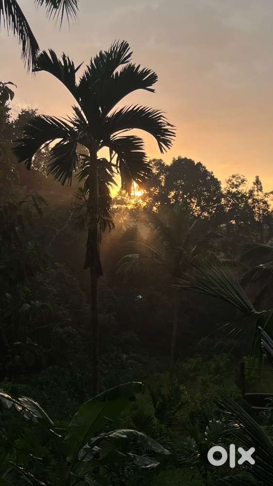 SITE FOR SALE – 25 Cents