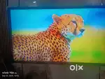 Samsung tv