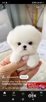 Office assistant