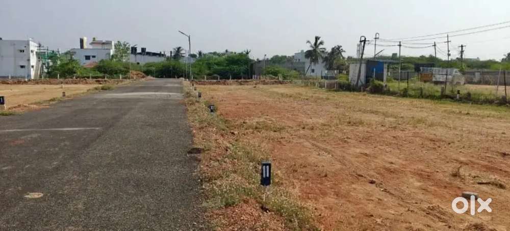 250 varg gaj plot on Nawalgarh road