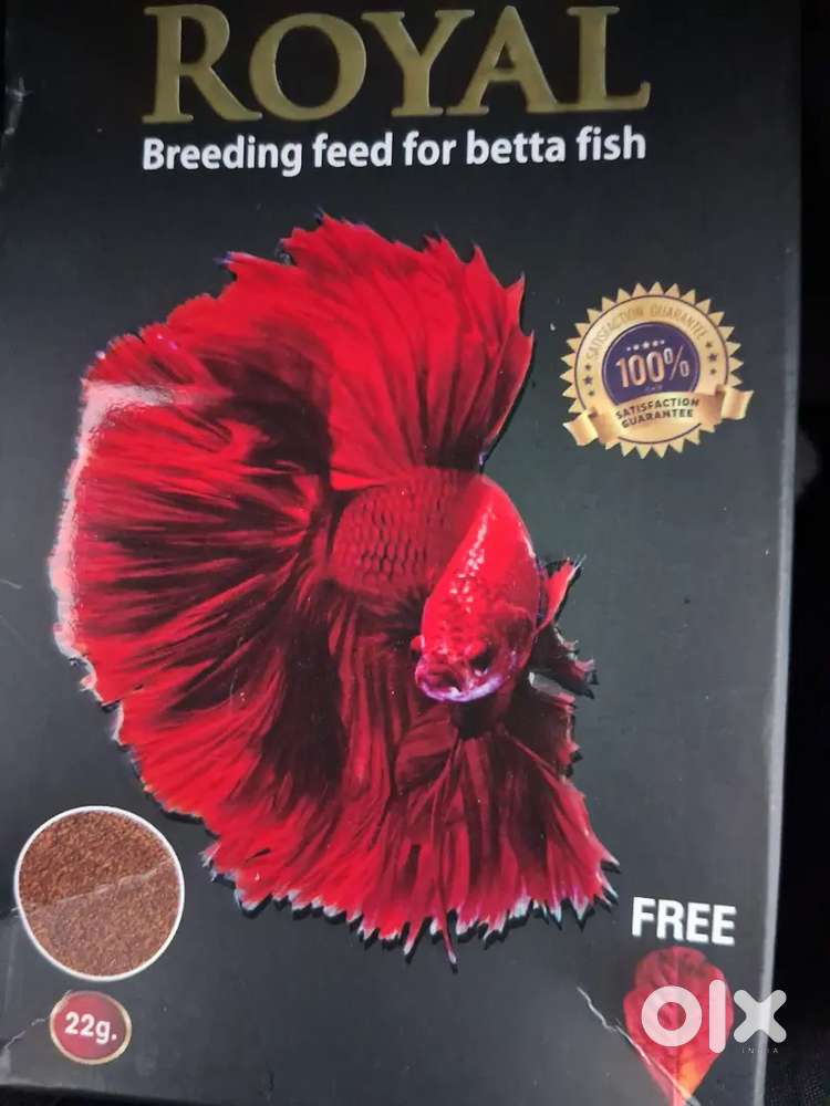 VAYINATO Betta Fish Food Combo Pack (3 Items) – New & Unused