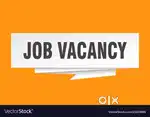 Wanted Front Office Male Receptionist