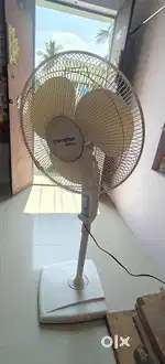 Cromton table fan