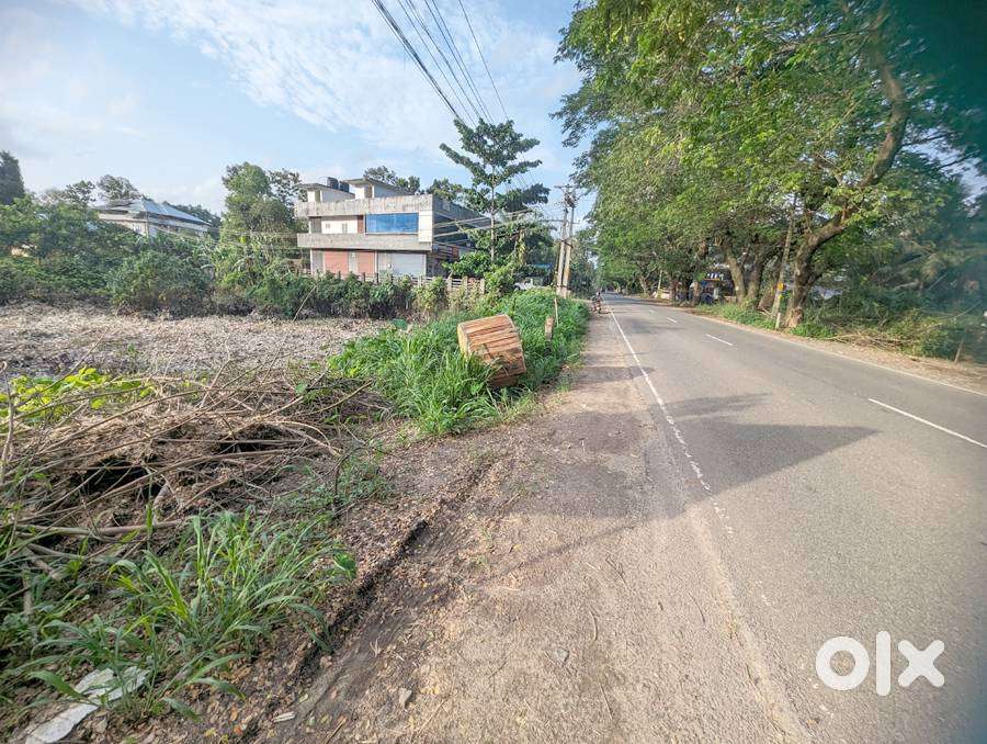 Commercial land 45 cent highway side Kidangooor 11 lakh/cent
