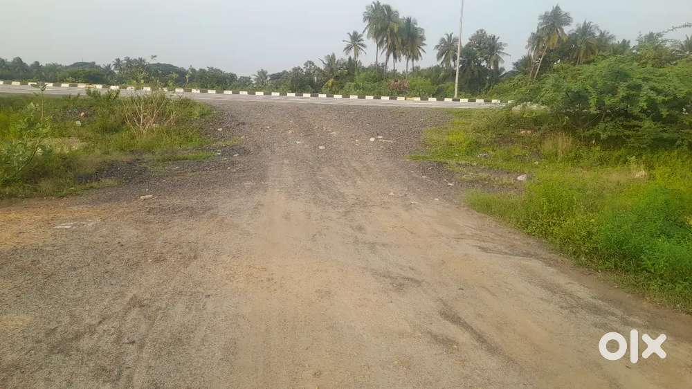 20*60 INVESTMENT PLOT NEAR SCHOLAR SCHOOL NEAR BYPASS KARKADU VILIANUR