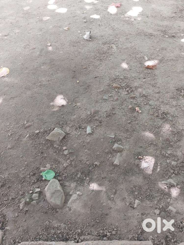 6 cent dry land