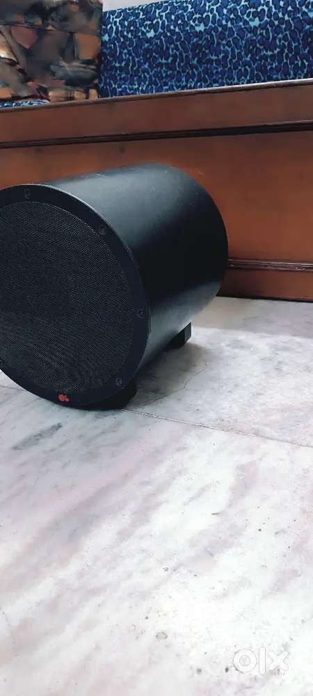 Anthony Gallo TR-1 Subwoofer woofer
Front firing 10