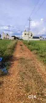 Half acre land for sale in Avati village near Devanahalli