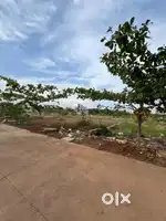 Navagaon va Mm Funcity ke near plots