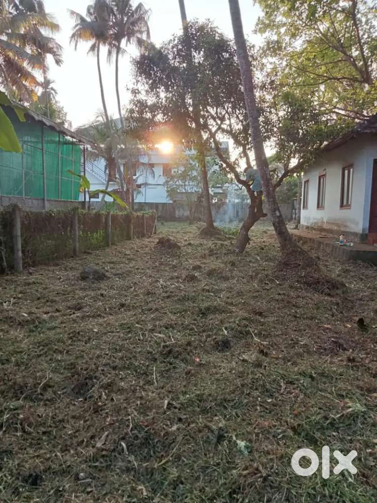 18 Cent For Sale In Edappally