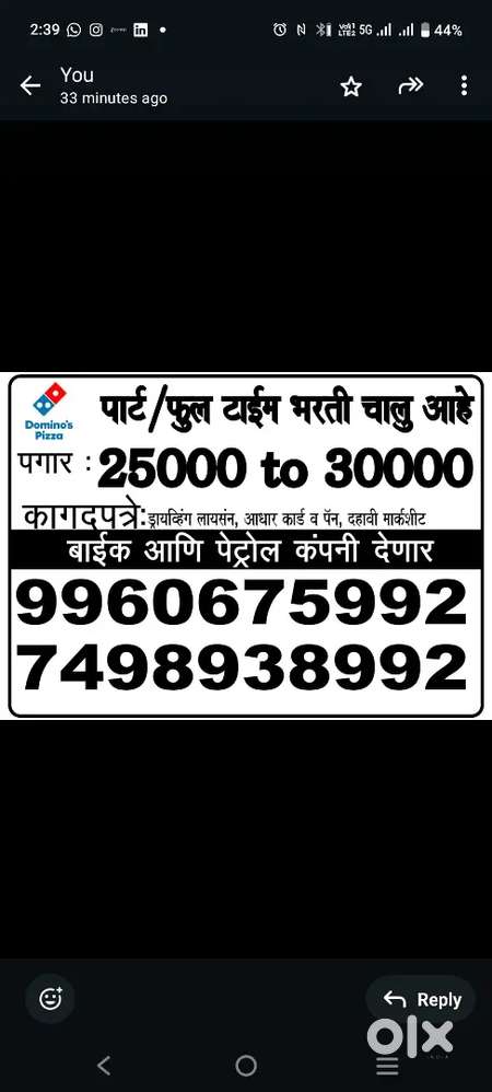 Dominos pizza delivery boy