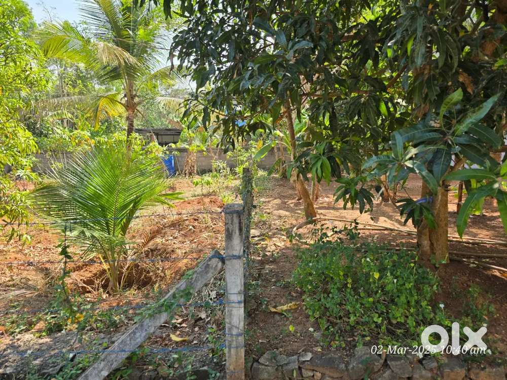 Elthuruthu College near 6cent Residential land –Thrissur