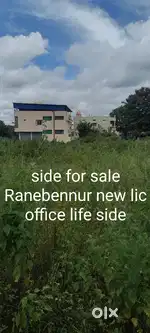 Side for sale new lic office left side 25 feet road second site