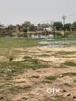 1.75 bigha pakka