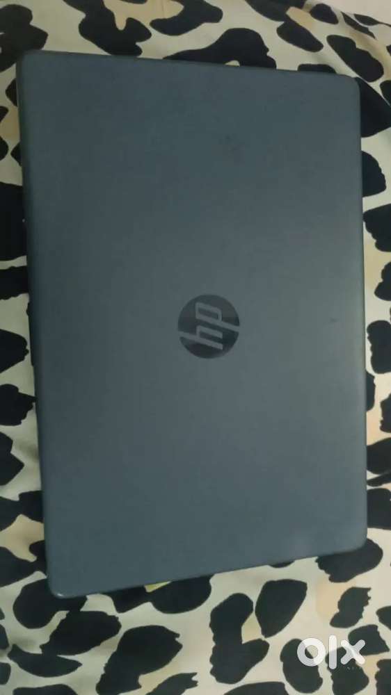 HP working condition laptop