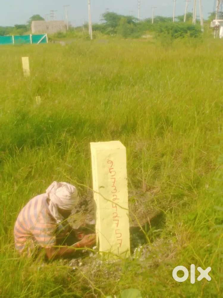 ఏట్కూరు నుండి కిడ్స్ కాలేజీ మార్గంలో 10000 ప్లాట్లు జగనన్న  ఇల్లు