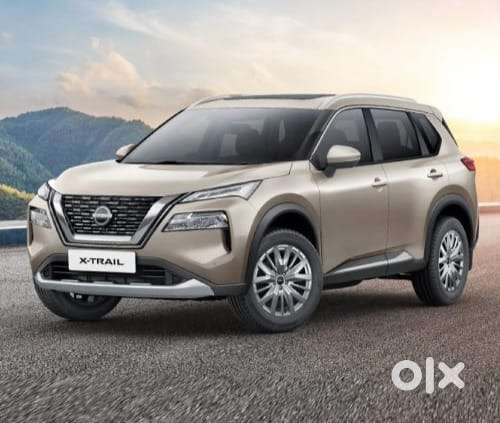 Need Job Home and Company Driver